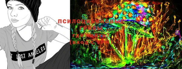 шишки Приозерск