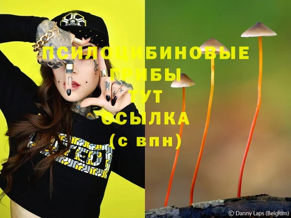 стафф Верхний Тагил