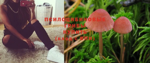 ГАЛЛЮЦИНОГЕННЫЕ ГРИБЫ Ростов